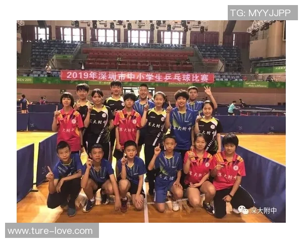 深圳乒乓球队比赛经验分析及其对未来表现的影响探讨 深圳乒乓球队比赛经验分析及其对未来表现的影响探讨