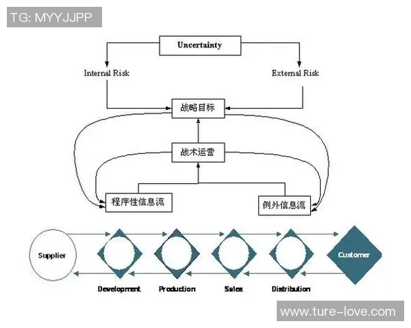 深圳排球队的战术创新与运营体系探讨 深圳排球队的战术创新与运营体系探讨