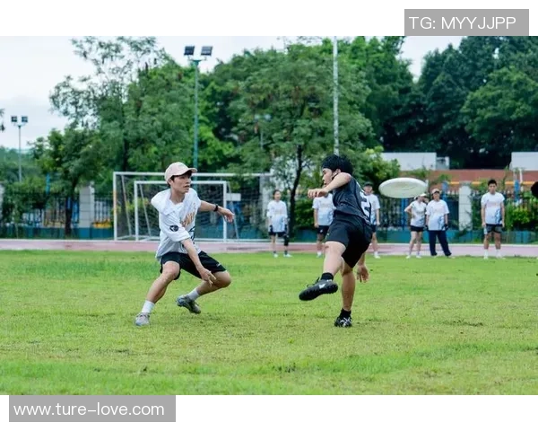 飞盘热议：杭州飞盘队的力量争议
