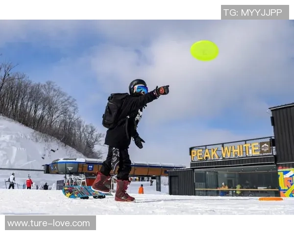 专访刘敏：解密飞盘成功之道