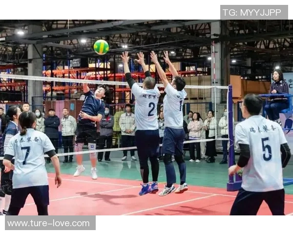 最新排球团队协作TOP10:杭州排球队领跑 最新排球团队协作TOP10:杭州排球队领跑