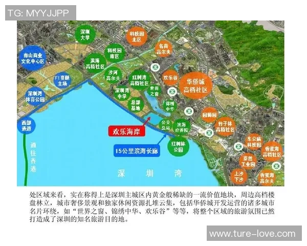 独家分析:深圳排球队的实力对比