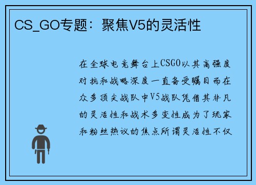 CS_GO专题：聚焦V5的灵活性