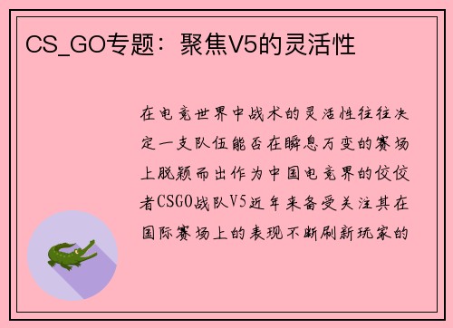 CS_GO专题：聚焦V5的灵活性